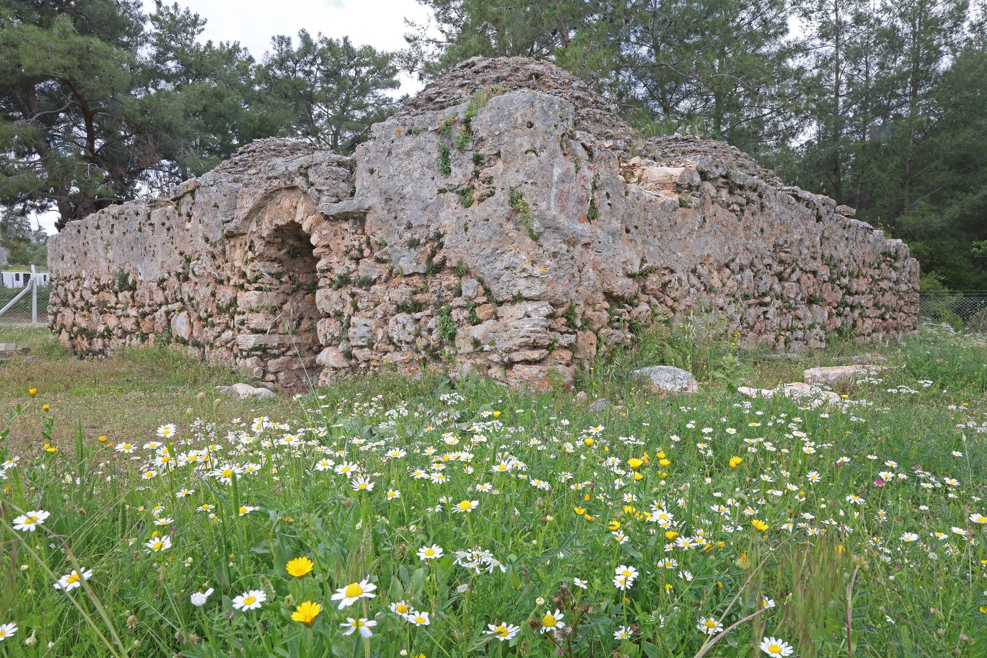 Sarnıç Restorasyon (1)