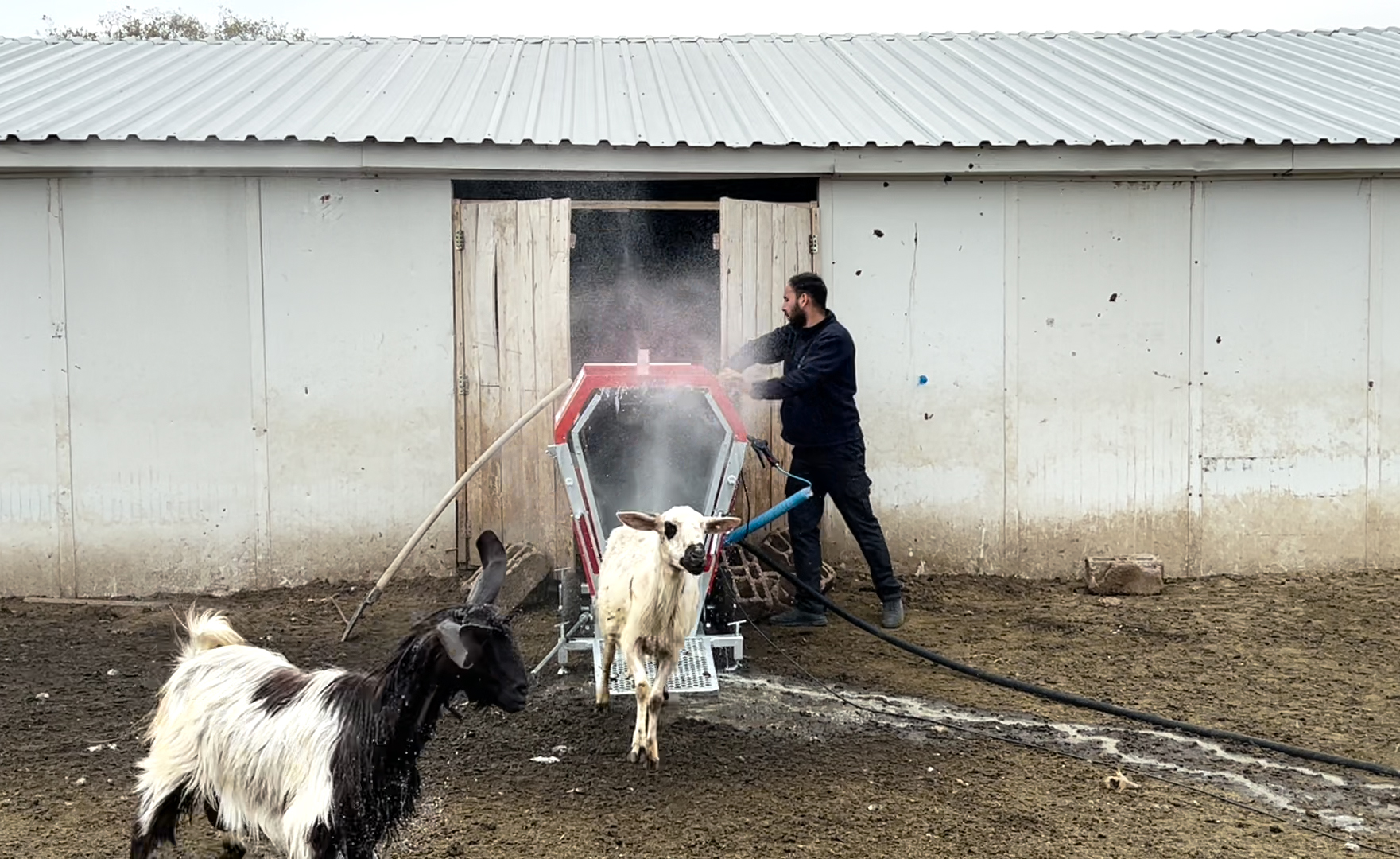 Şereflikoçhisar Ilaçlama (2)
