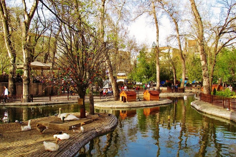 3 Ankara Üniversitesi Kuğulu Park