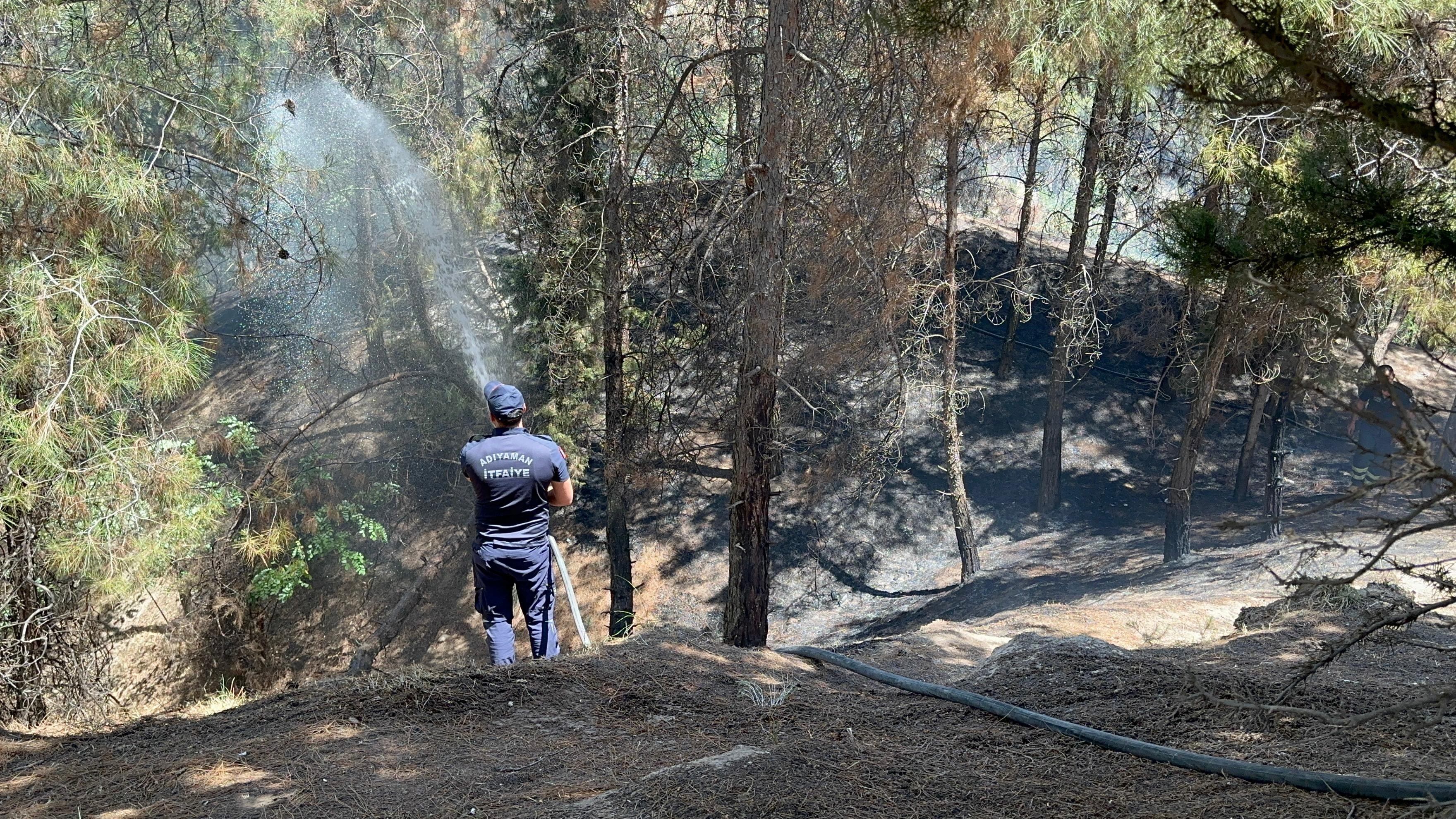 Adıyaman Yangın (2)