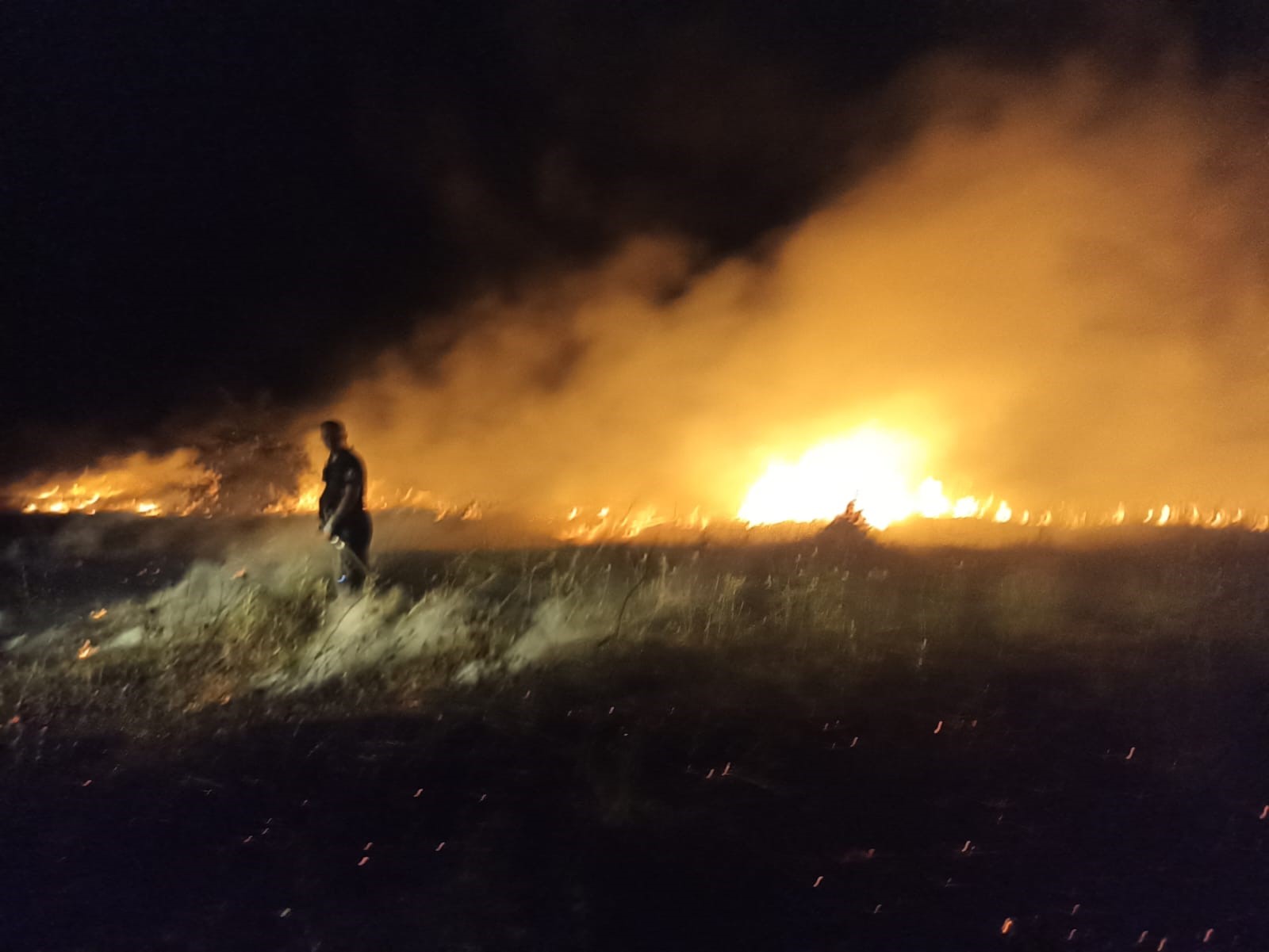Akçadağ’da Bahçe Ve Sazlık Yangını (2)