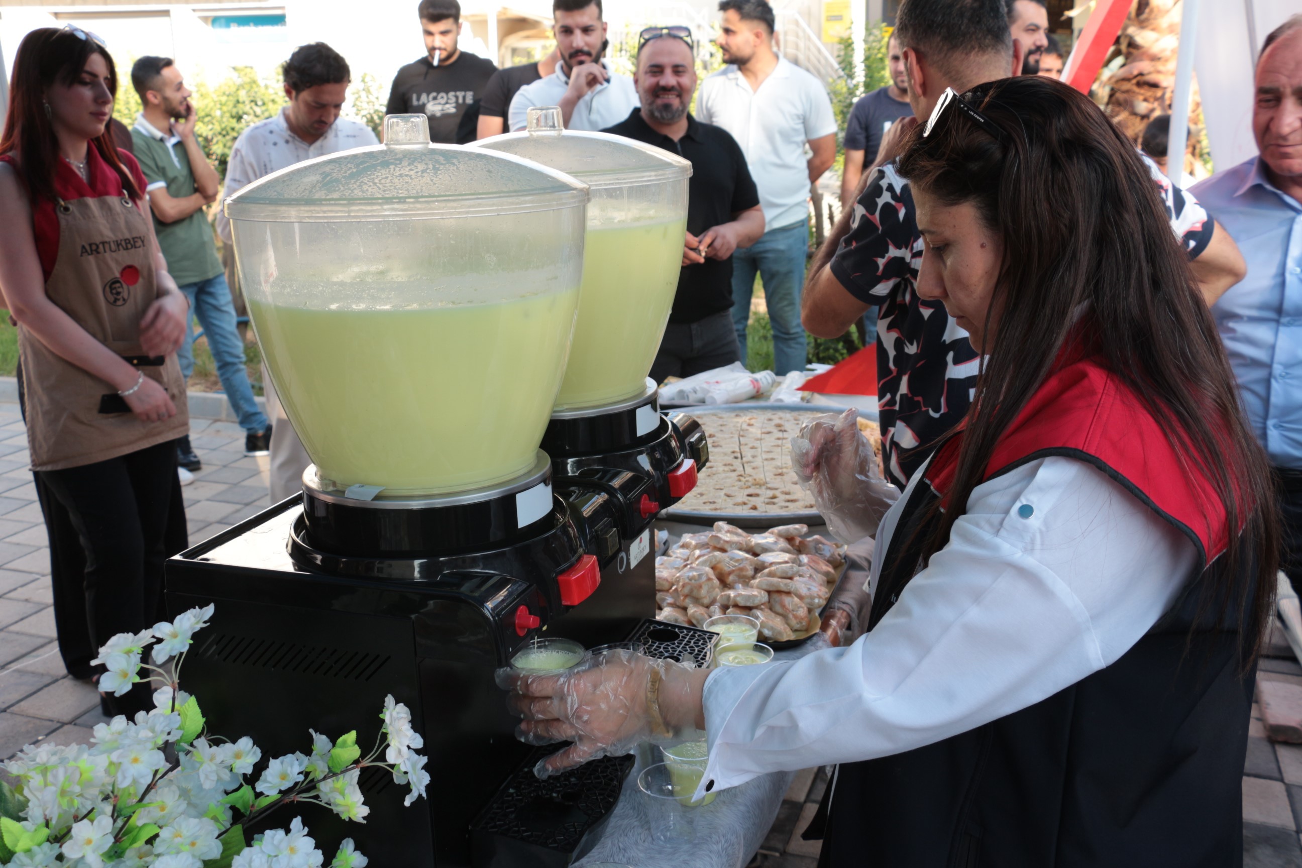 Cizre Leyminete (2)
