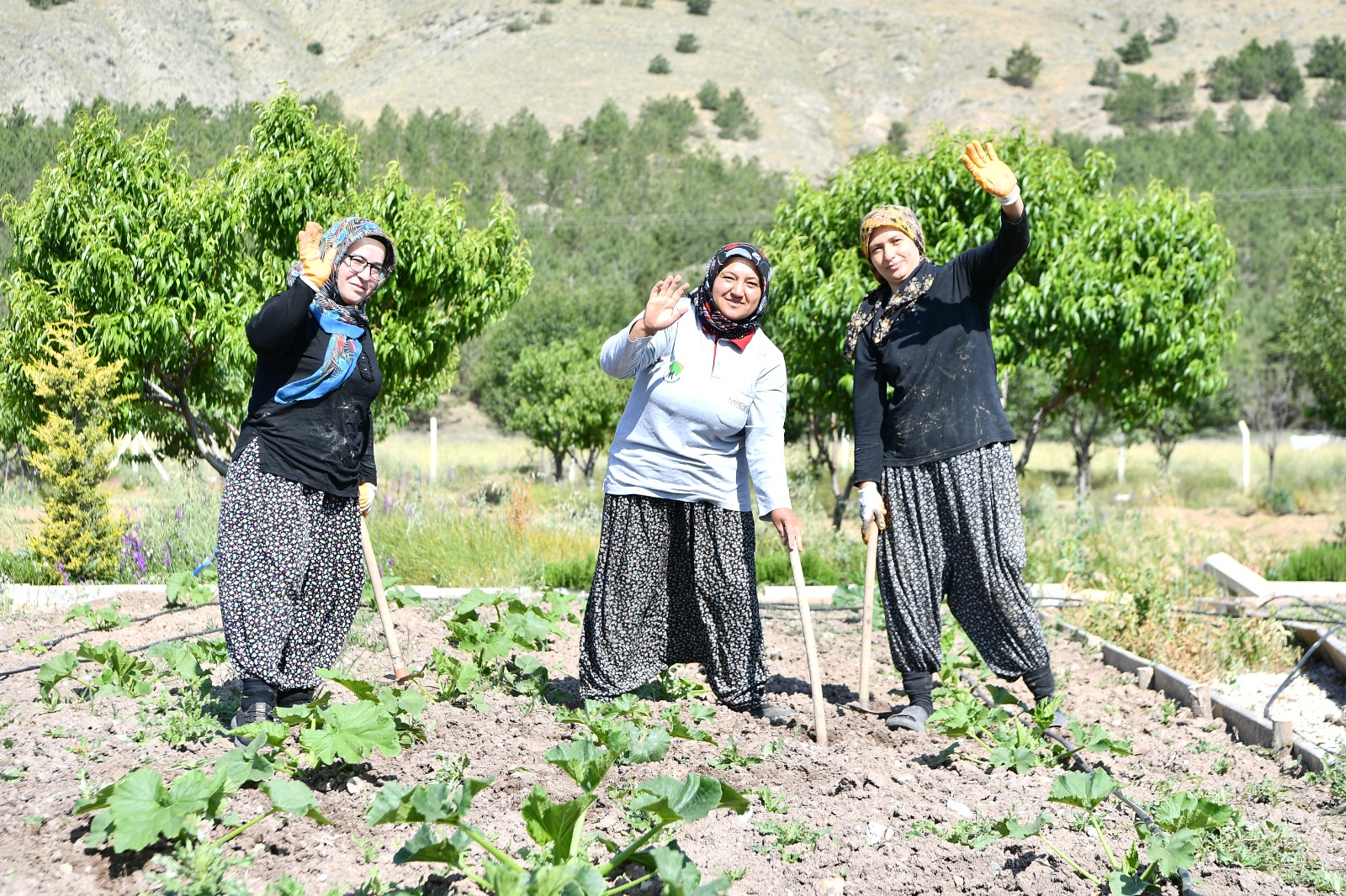 Mamak Belediyesi’nden Kırsalda Üretim Hamlesi (8)