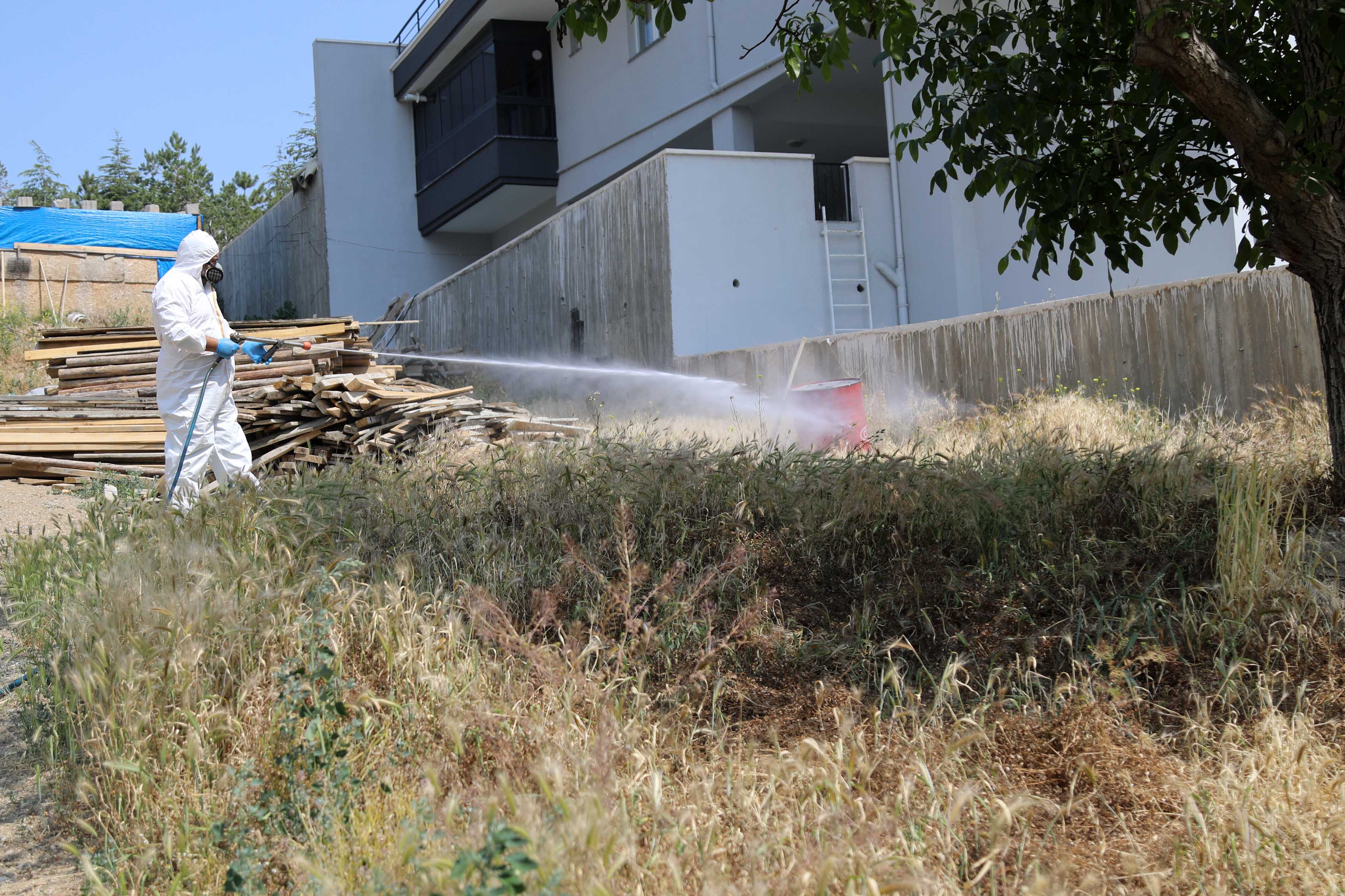 Veteriner İlaçlama (11)