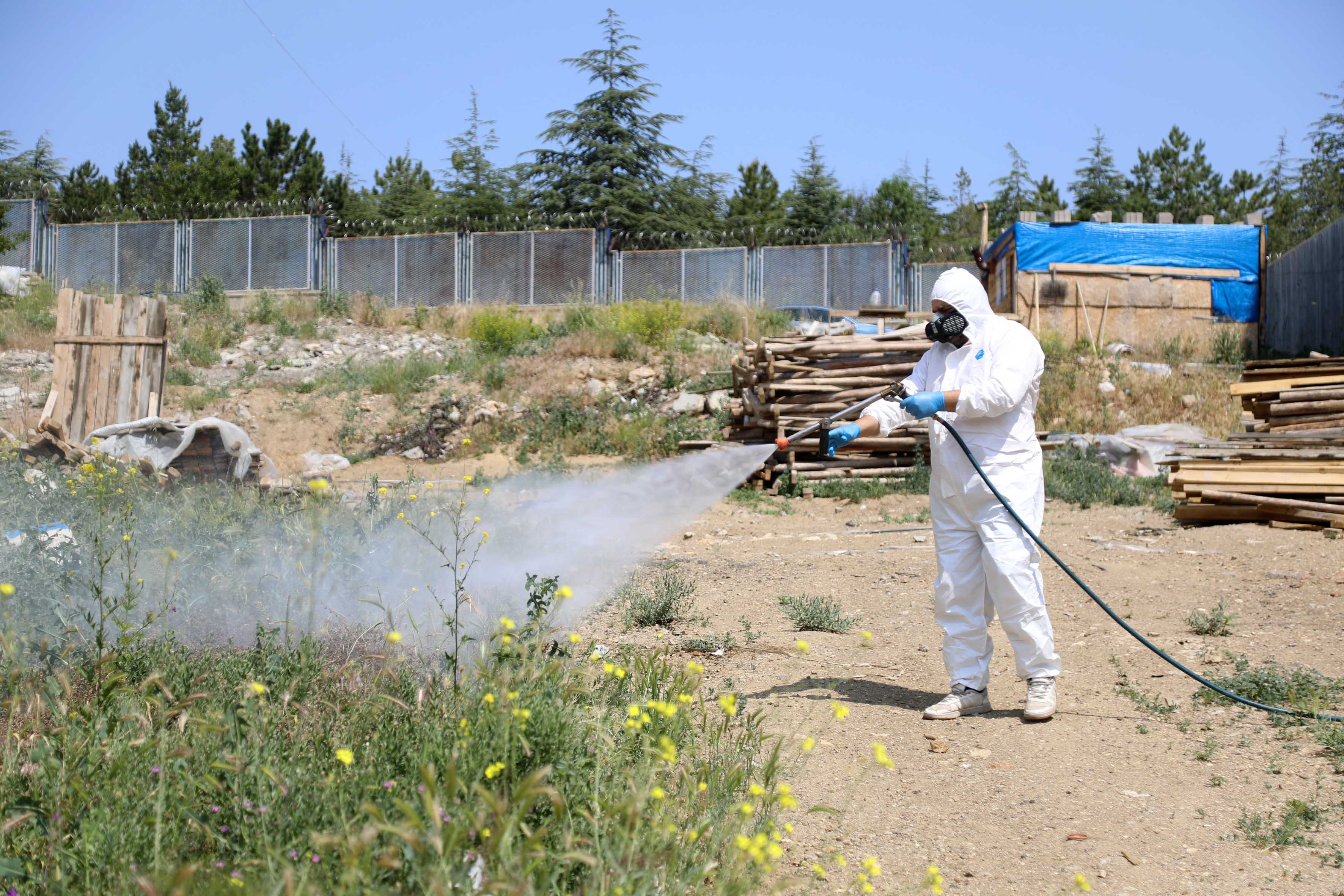 Veteriner İlaçlama (12)