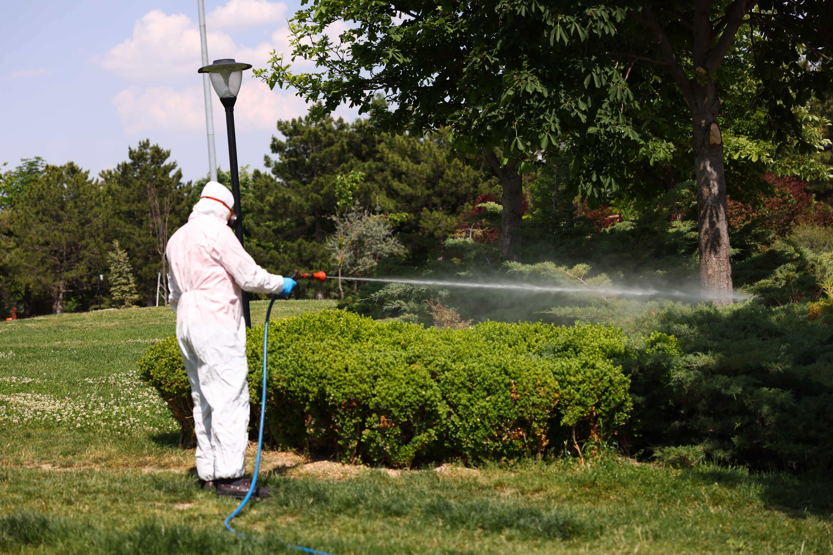 Veteriner İlaçlama (14)