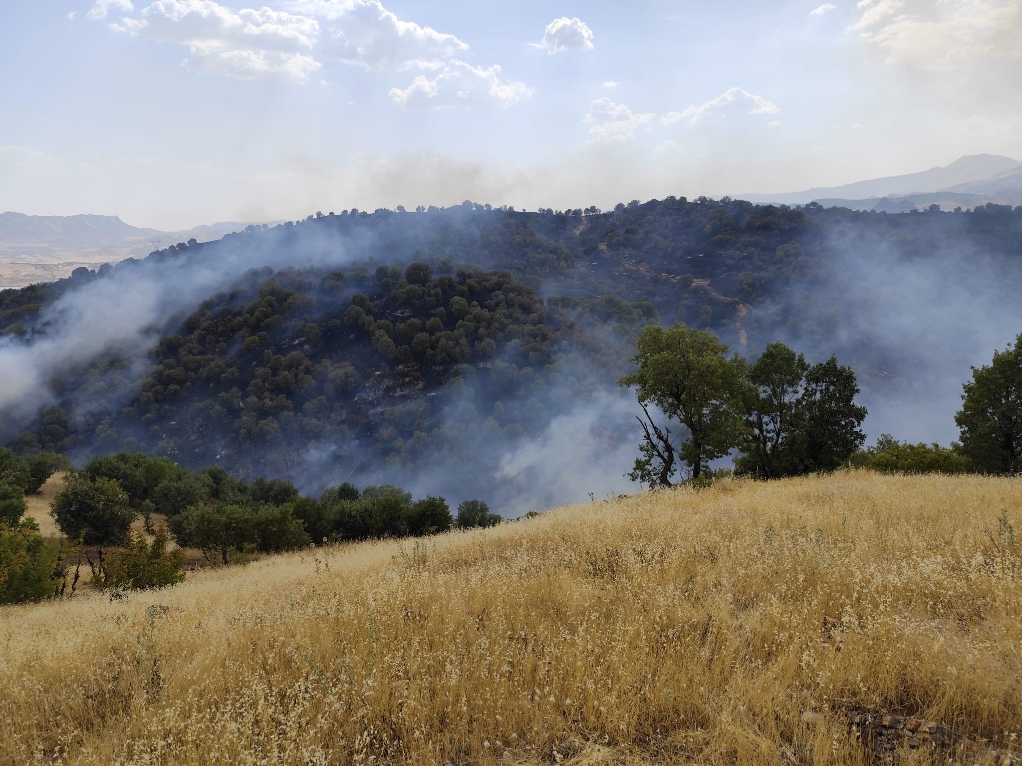 Adıyaman Gerger (1)
