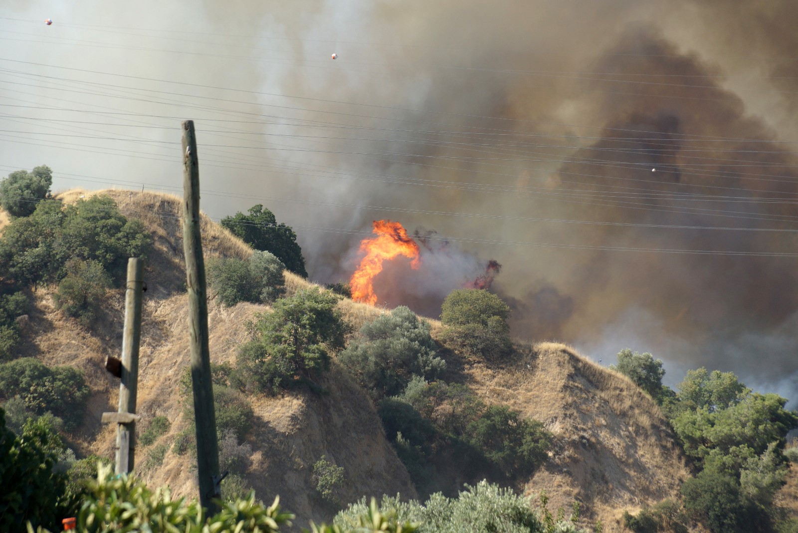 Aydın'ın Efeler Ilçesinde Yangın (1)