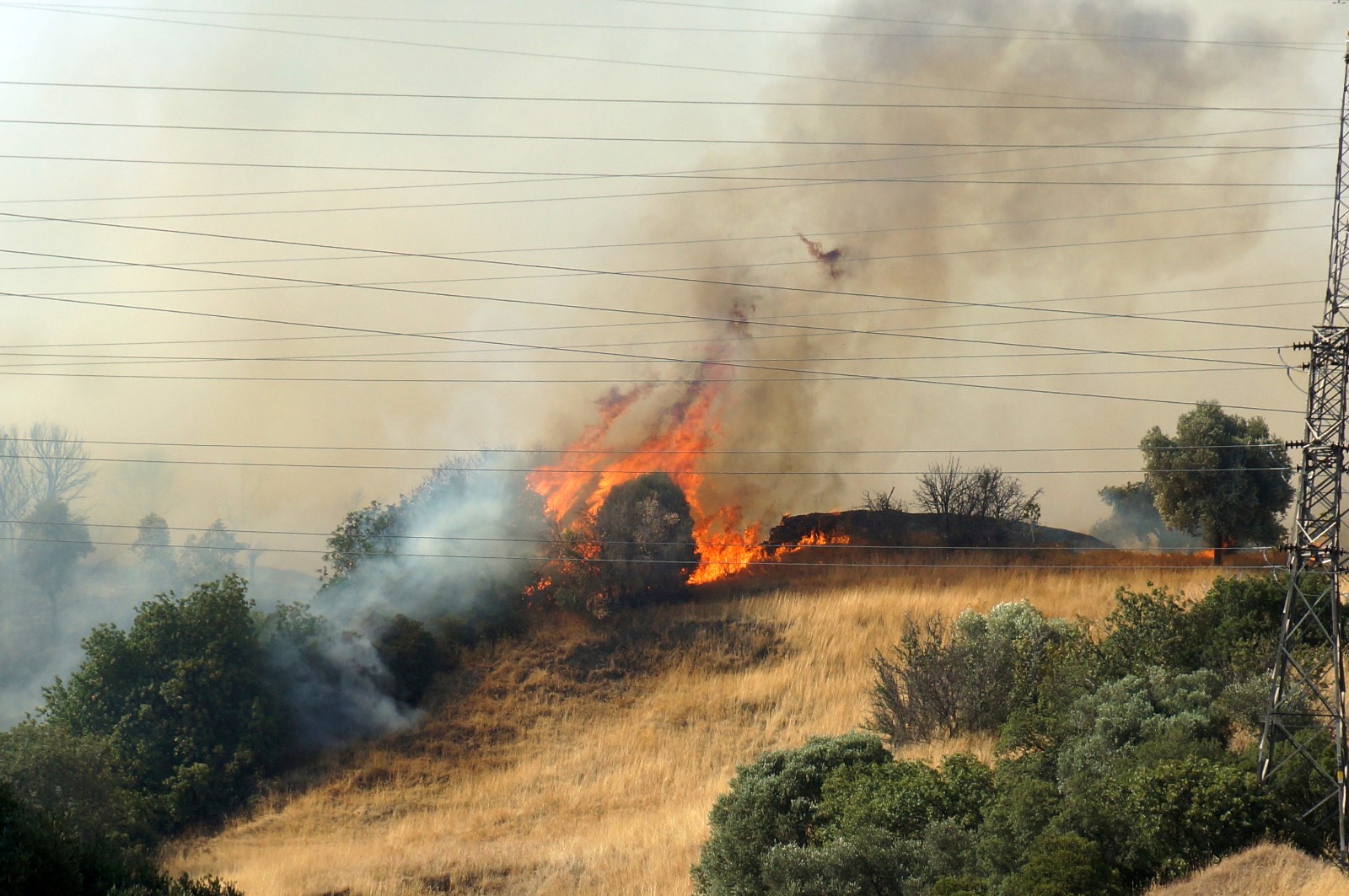 Aydın'ın Efeler Ilçesinde Yangın (3)