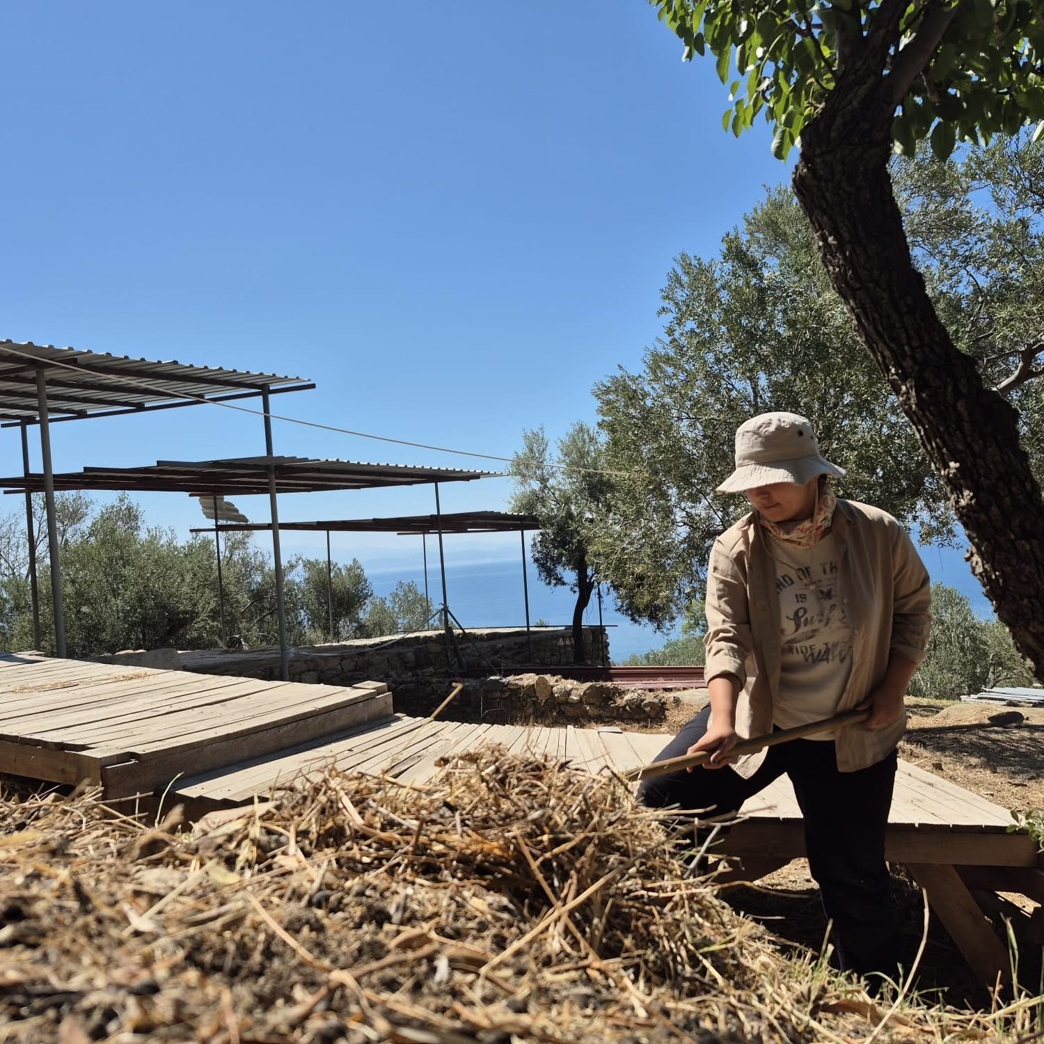 Balıkesir (20)