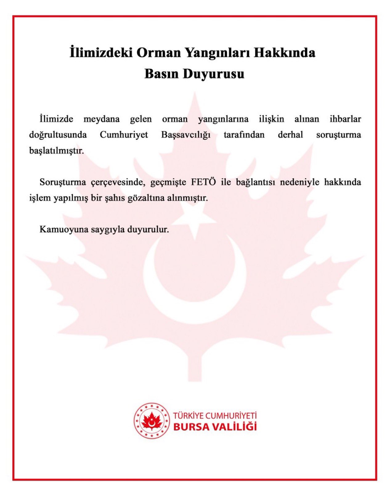 Bursa Orman Yangını (2)