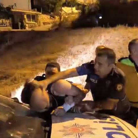 Bursa Orman Yangını (3)