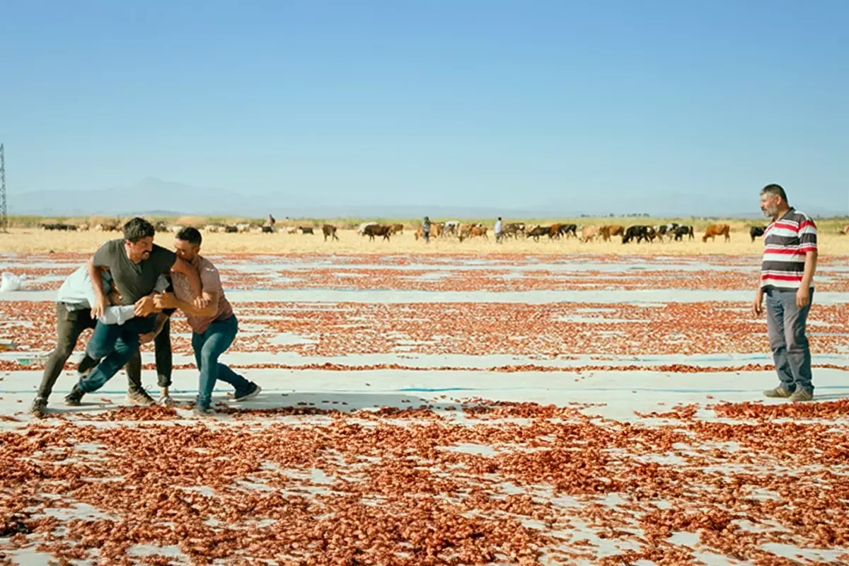 Hemme’nin Öldüğü Günlerden Biri 3