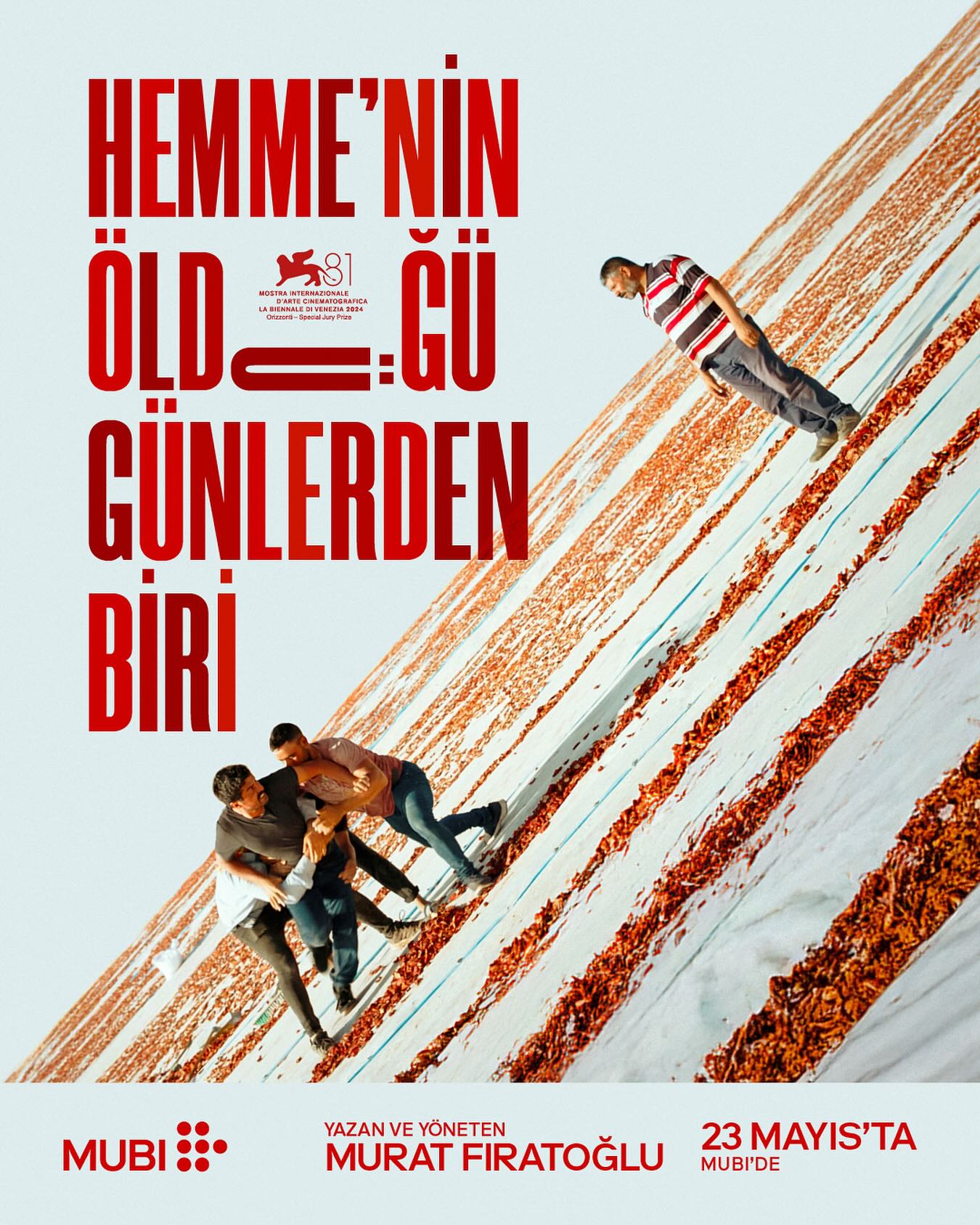 Hemme’nin Öldüğü Günlerden Biri