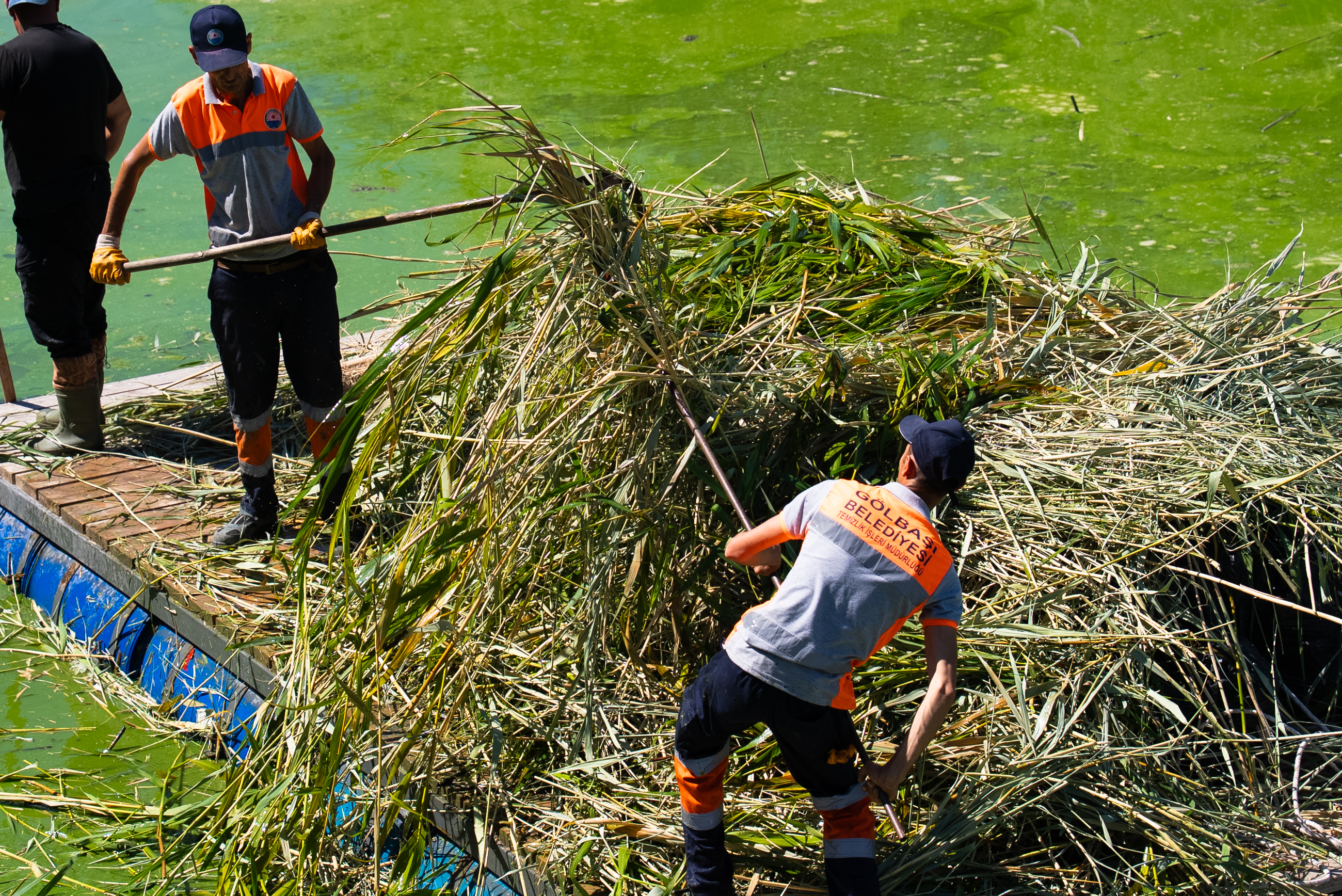 Mogan Gölü’nde Temizlik (2)