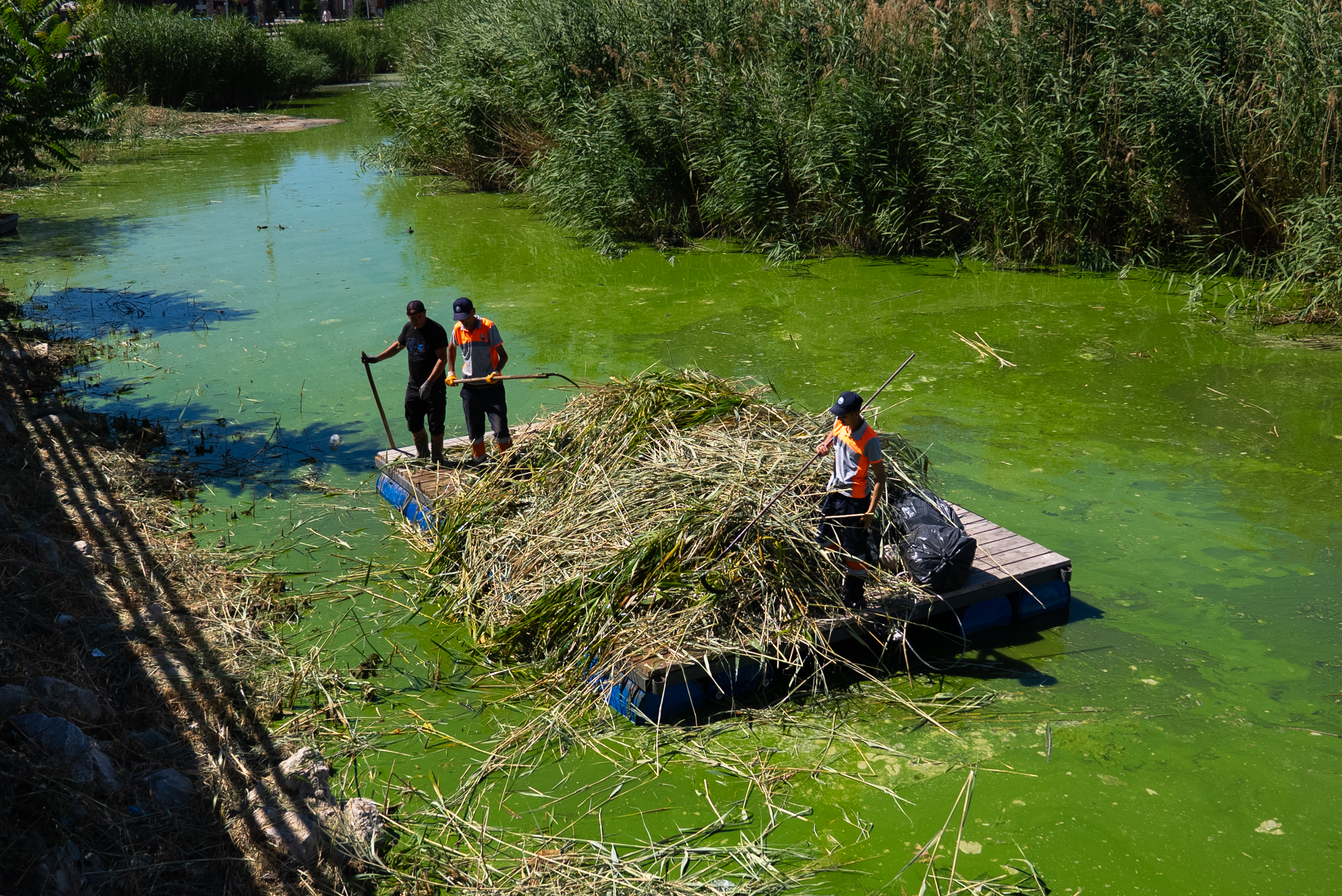Mogan Gölü’nde Temizlik (3)