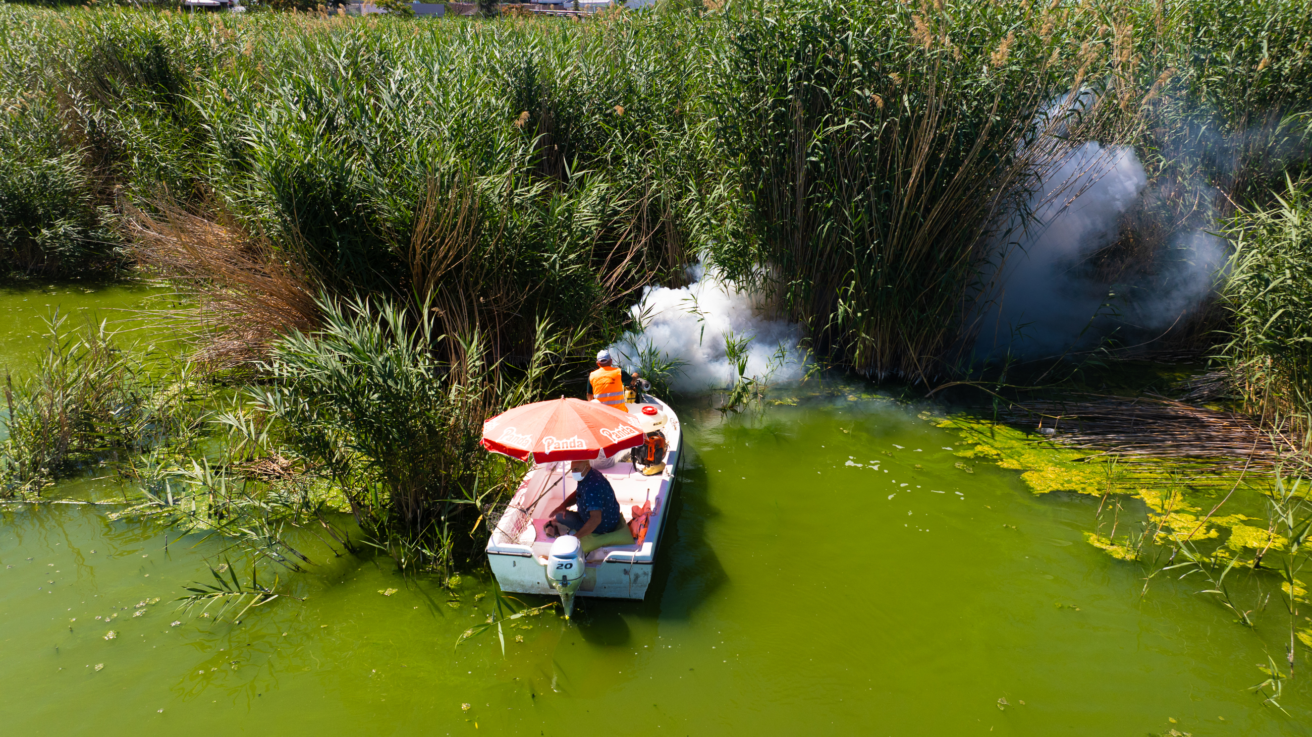 Mogan Gölü’nde Temizlik (4)