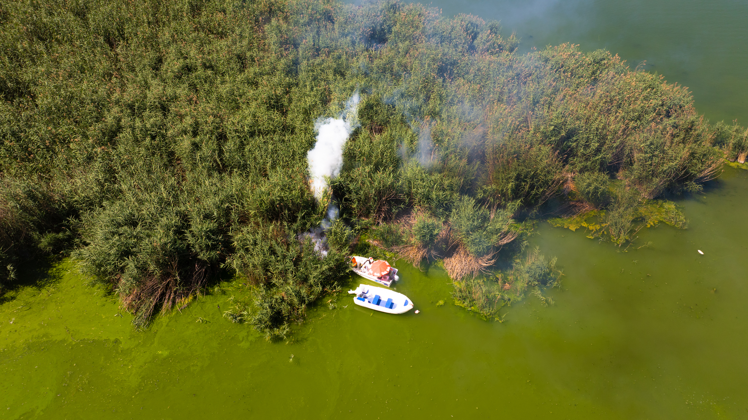 Mogan Gölü’nde Temizlik (5)