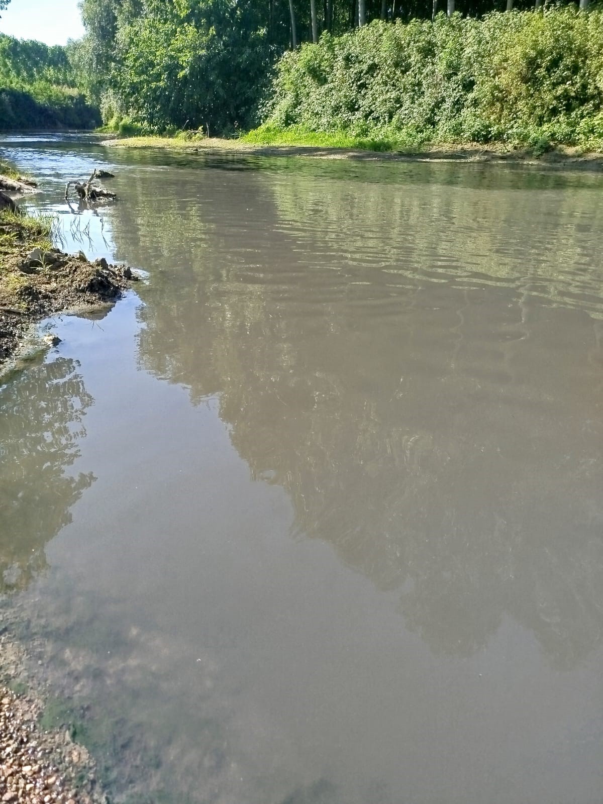 Mudurnu Deresi (1)
