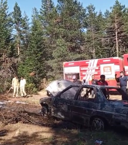 Ormaan Yangını (1)