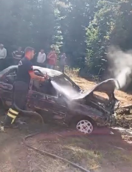 Ormaan Yangını (3)