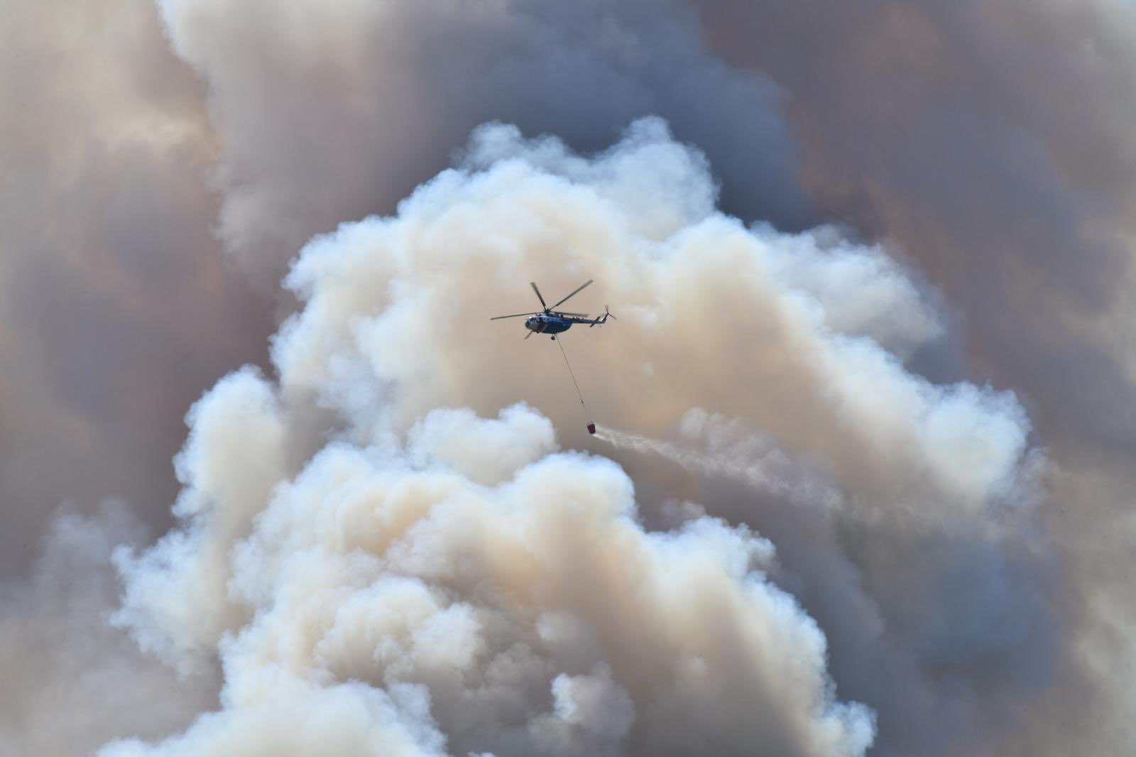 Orman Yangını (4)-1