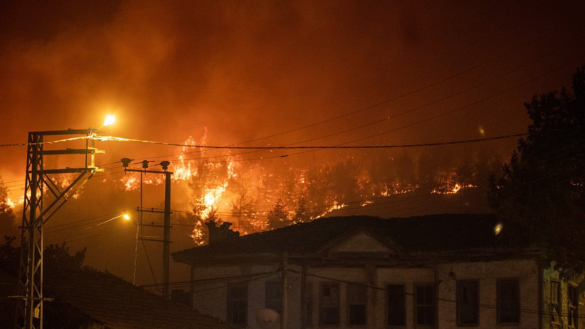 Sakarya Alev Alev (2)