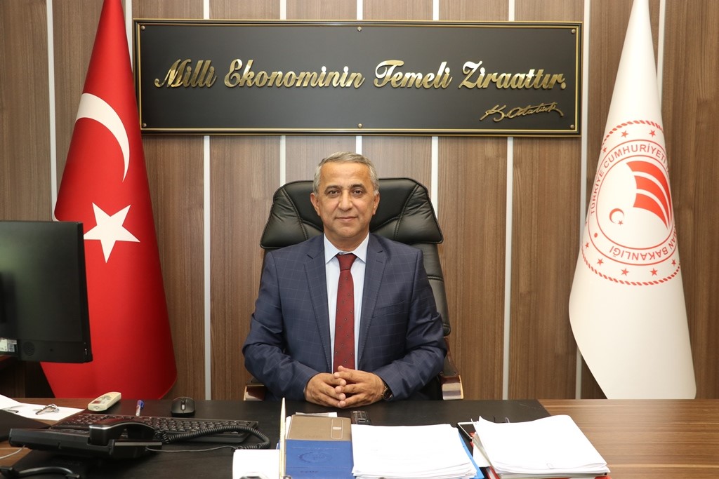 Samsun Su Ürünleri (2)