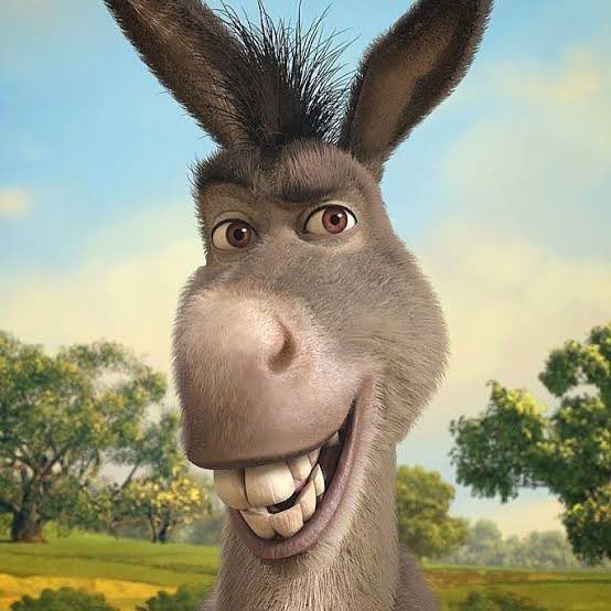 Shrek’in Eşek (2)