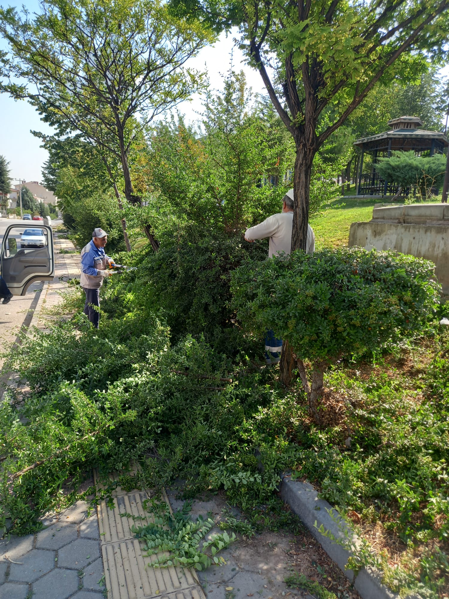 Sincan Belediyesi'nden Yeşil Seferberlik (1)