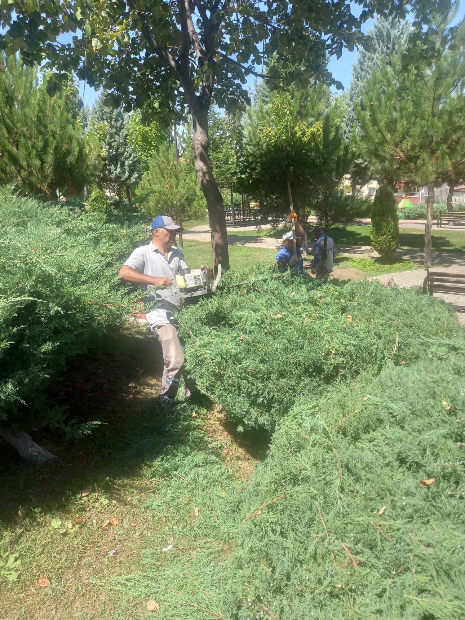 Sincan Belediyesi'nden Yeşil Seferberlik (2)