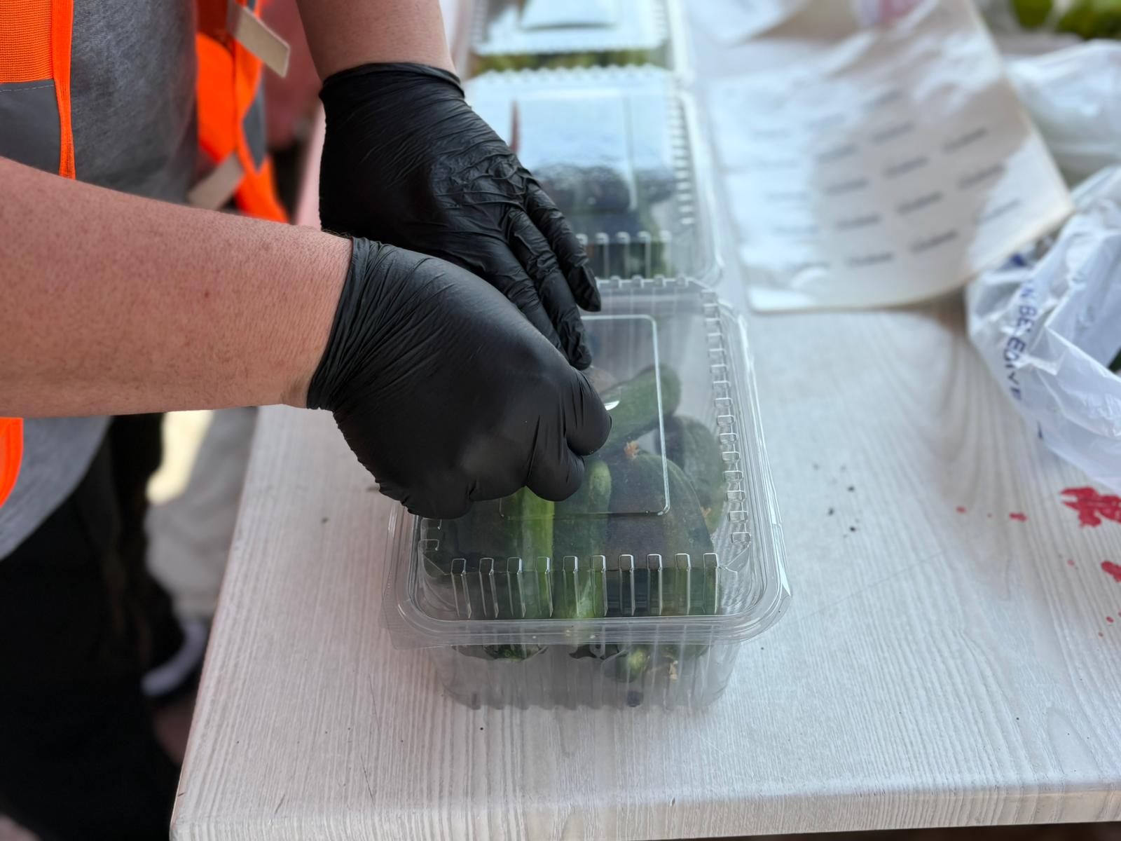 Sincan Eko Çiftlik (1)