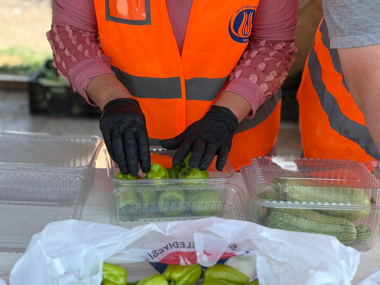 Sincan Eko Çiftlik (2)