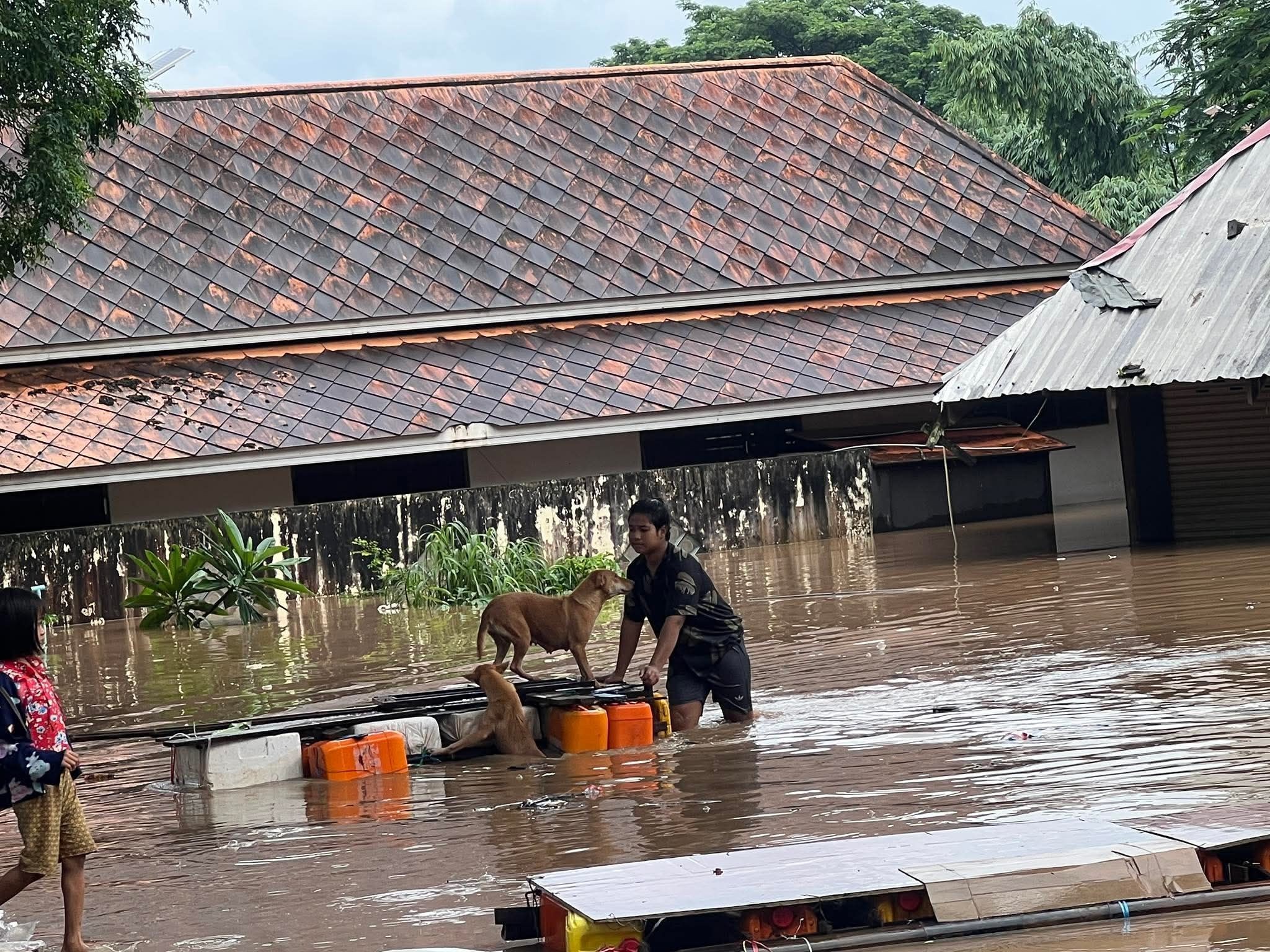 Tayland Fırtına (3)