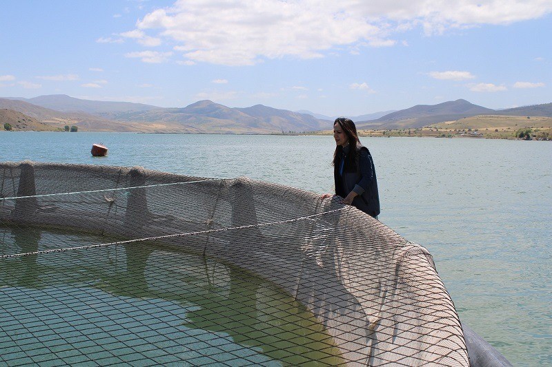 Tercan Kültür Balıkçılığı (2)