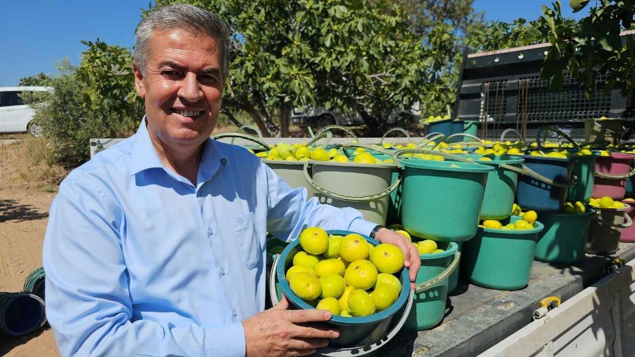 Yaş Incir Festivali (2)