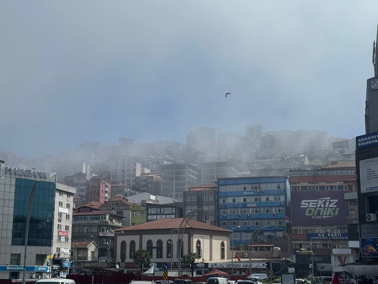 Zonguldak (6)