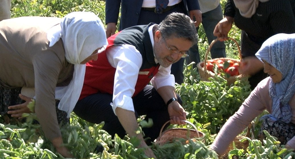 yumaklıayaşdomates33