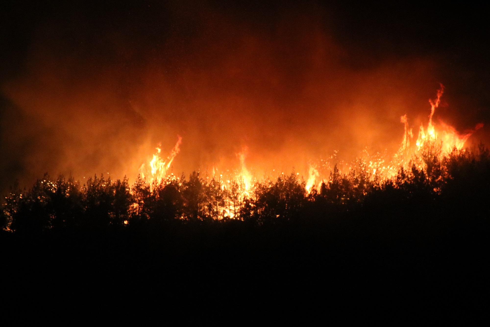 Çanakkale Yangın (2)-2