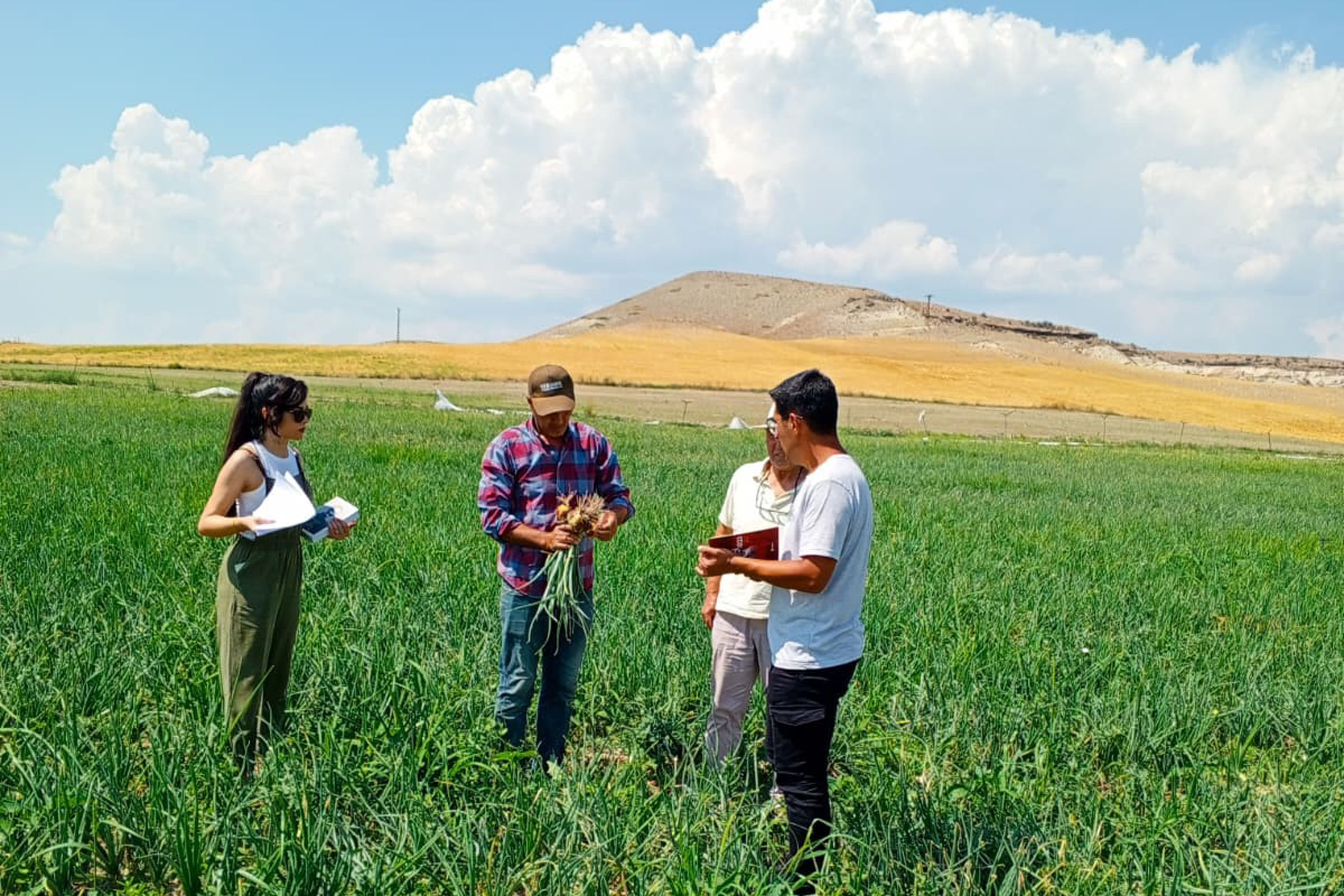 Çankaya’da Organik Pazar (2)
