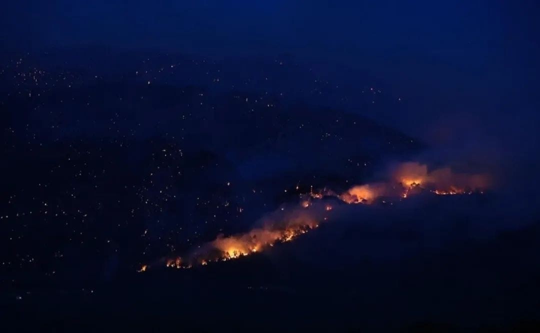 Denizli'deki Orman Yangını (3)