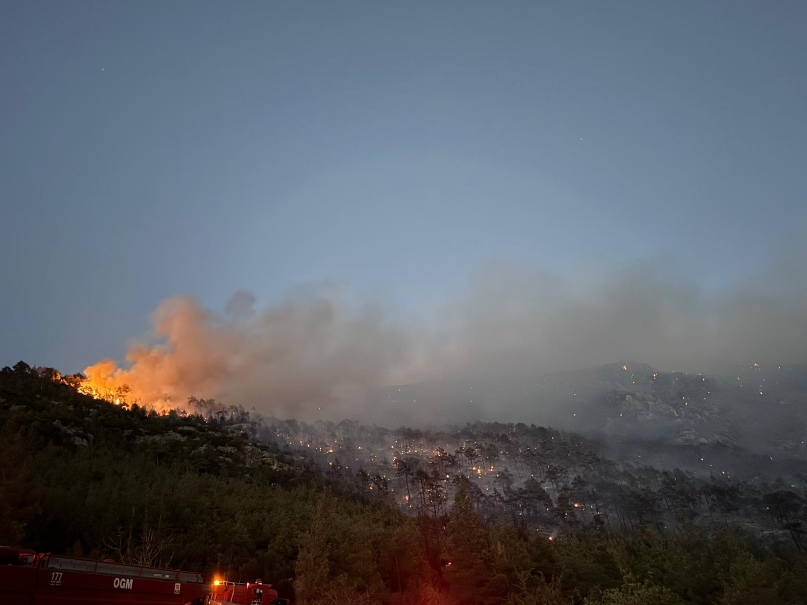 Denizli'deki Orman Yangını (4)