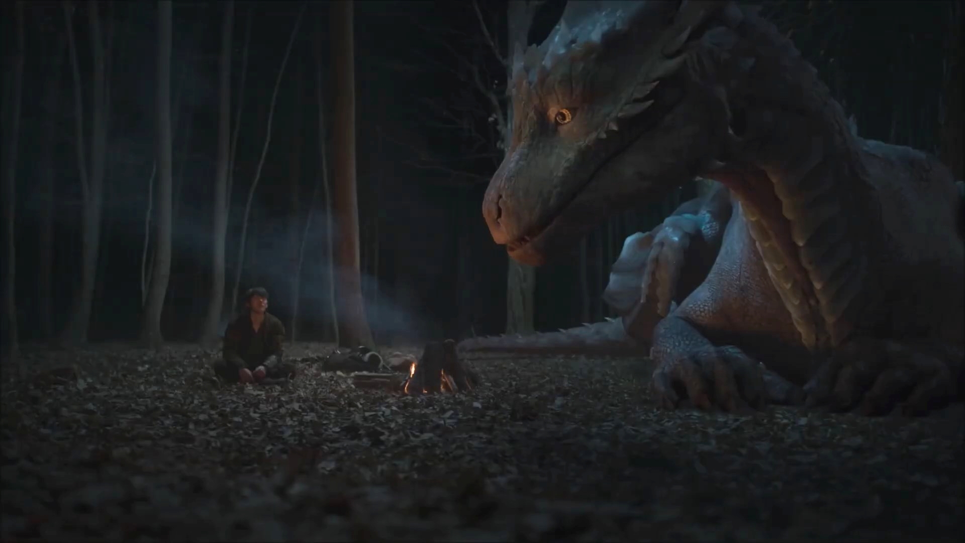 Ejder Yurek Intikam.jpg3