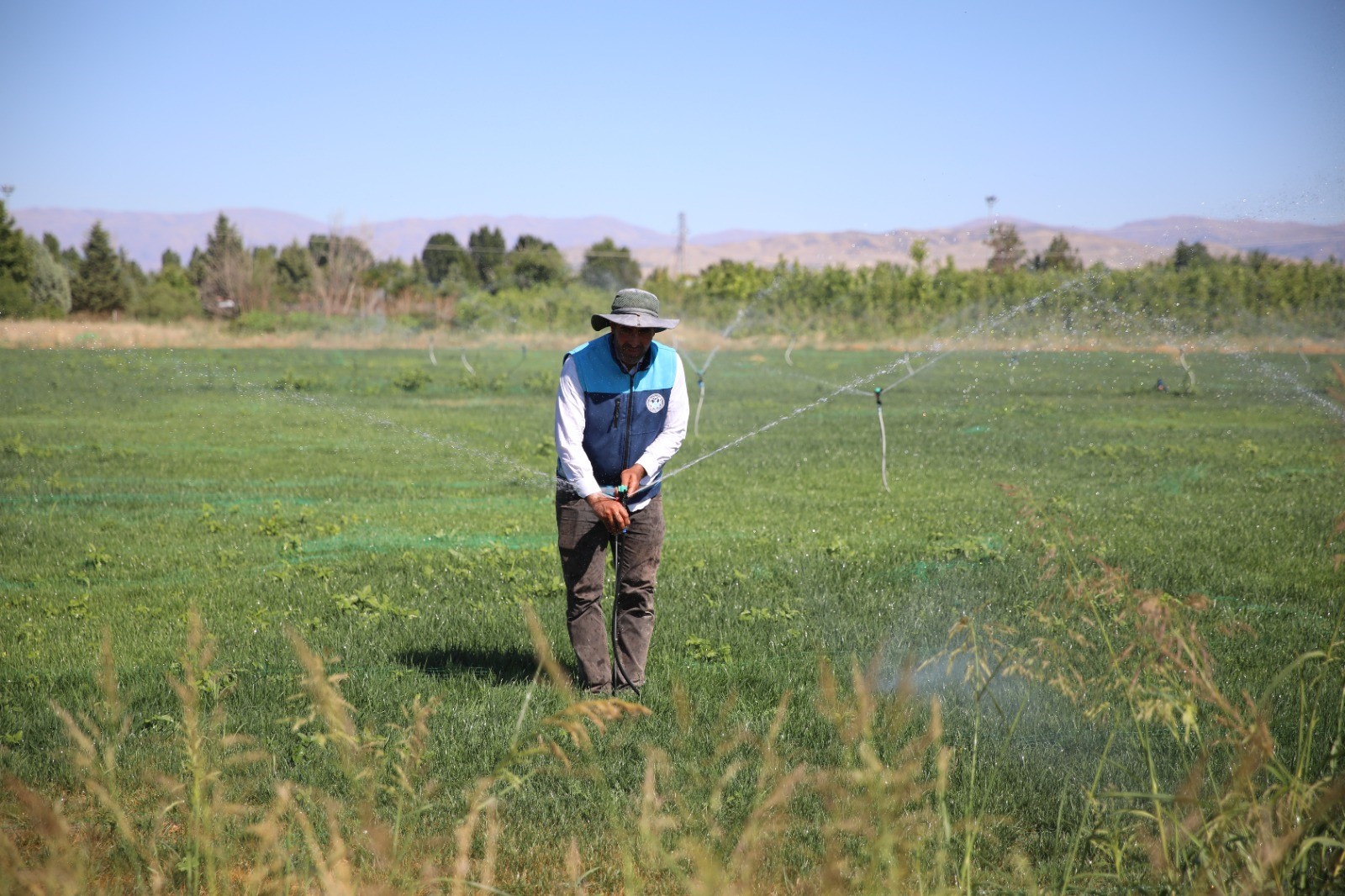 Malatya Battalgazi’de 210 Bin Fidan Toprakla Buluştu (3)
