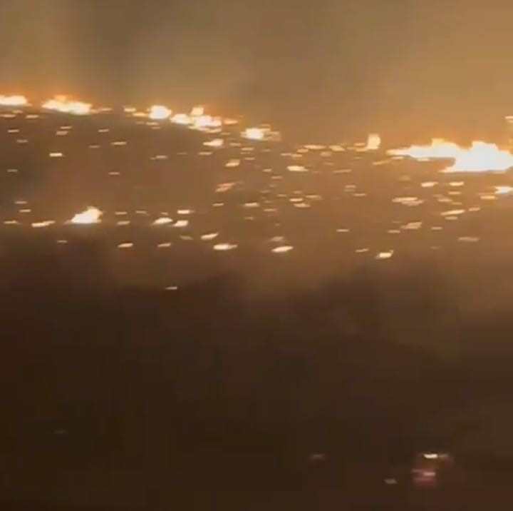 Malatya'da Korkutan Anız Yangını (2)