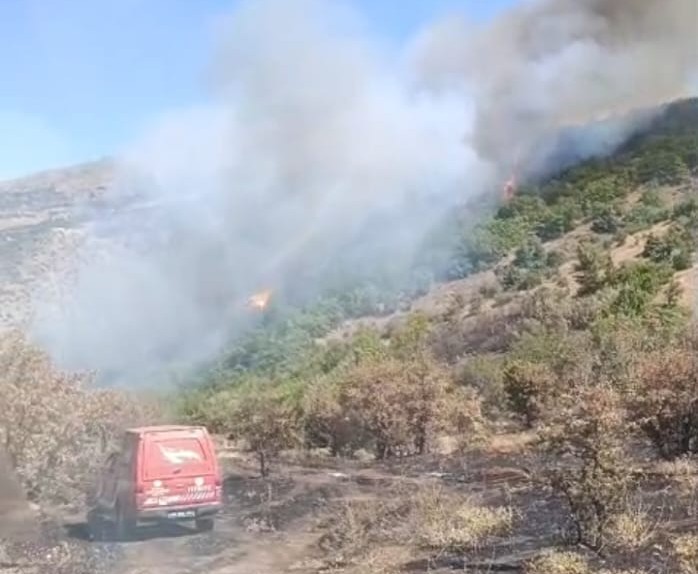 Malatya'da Orman Yangını (1)