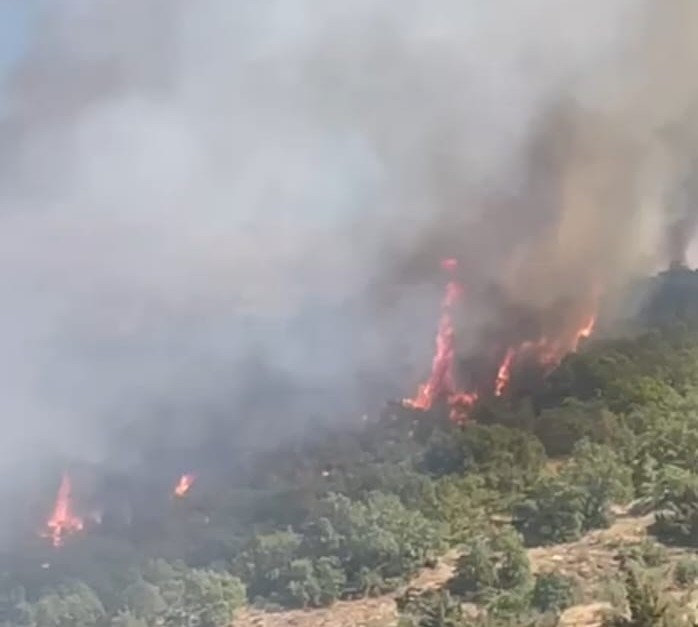 Malatya'da Orman Yangını (2)