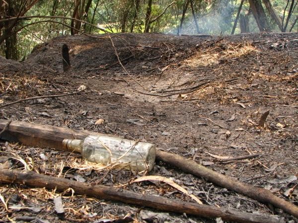 Orman Yangını İspanya (5)