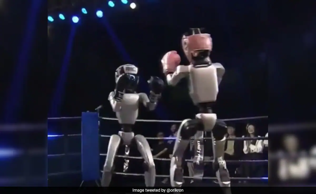 Robot Mma-1