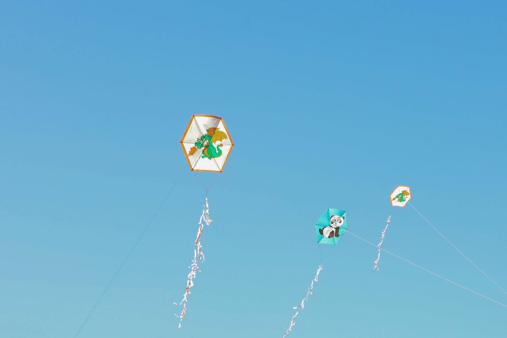 Thumbnail Whatsapp Image 2025 08 28 At 22.06.39 (3)